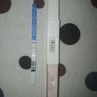 🤰família crescendo - 2