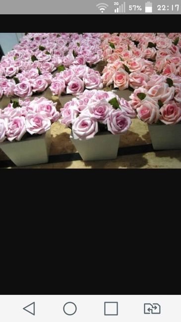 Palpite-->flores em e.v.a - 2