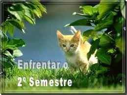 Enfrentar o 2º semestre
