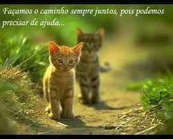 Caminhemos sempre juntos, um ajudando o outro