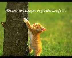 E superar a todos os desafios com muito amor e paz!