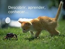 E a cada dia a gente possa aprende juntos aqui no Casamentos.com