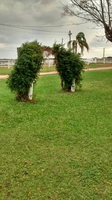 Primeiro contrato: local da cerimônia e recepção - 2