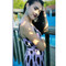 Eduarda