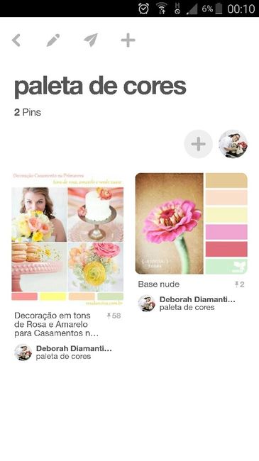 Qual cor escolheram? - 1