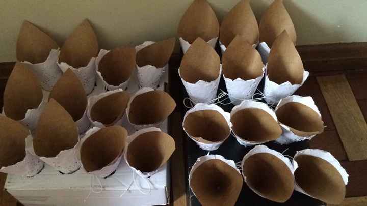 Todos os cones 