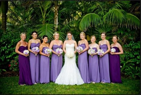 Roxo e Lilás