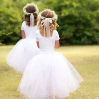 Daminhas de tule - 1