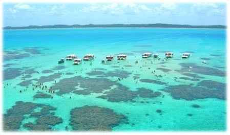 Maragogi!! ?