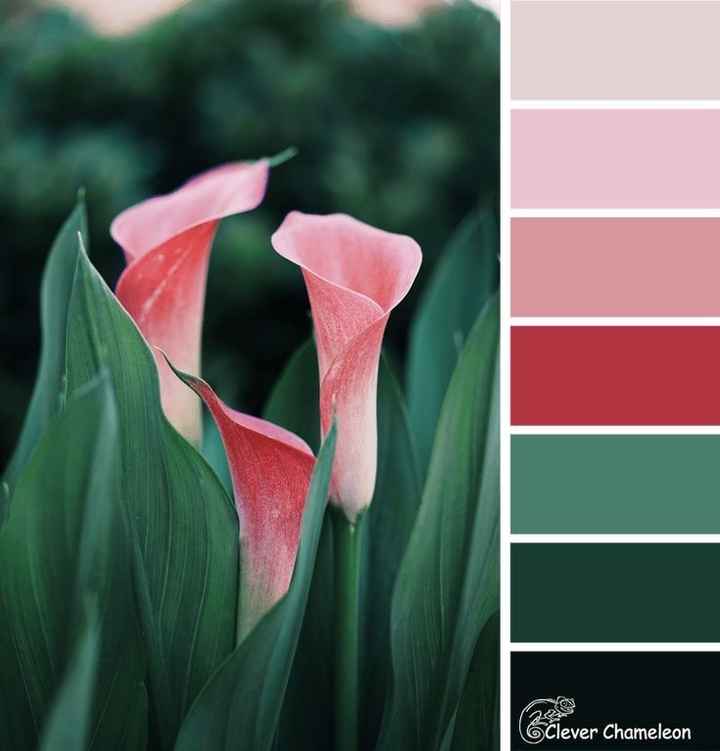 Qual será a sua paleta de cores? - 1