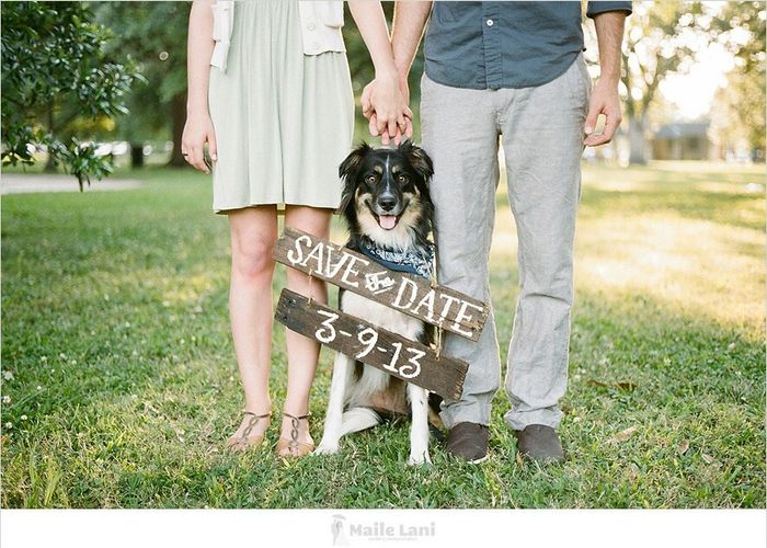 Meu save the date - 1