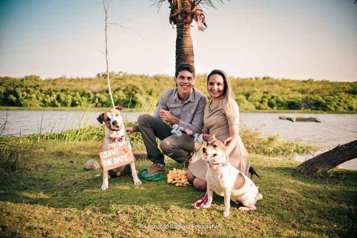 Save The Date com meus Dogs Lindos.