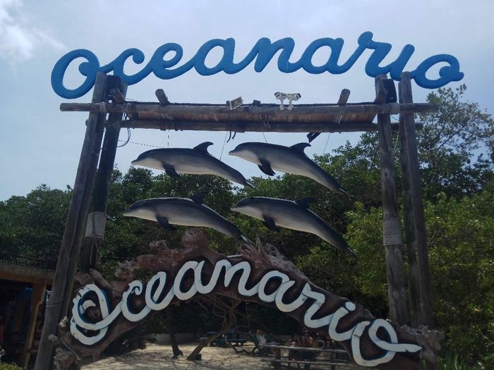 Cartagena das índias minha experiência 3