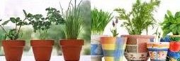 horta