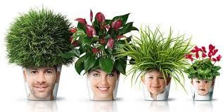 horta