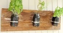 horta