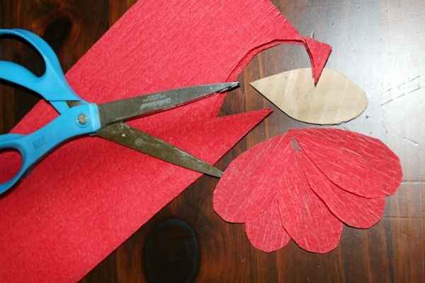 Papoula de Papel
