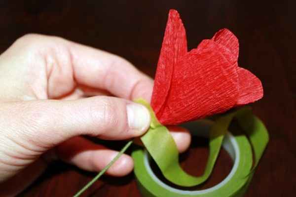 Papoula de Papel