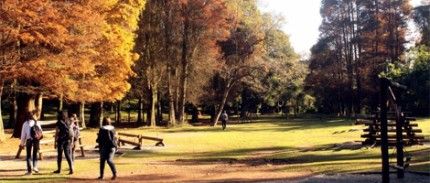Foto do Lugar