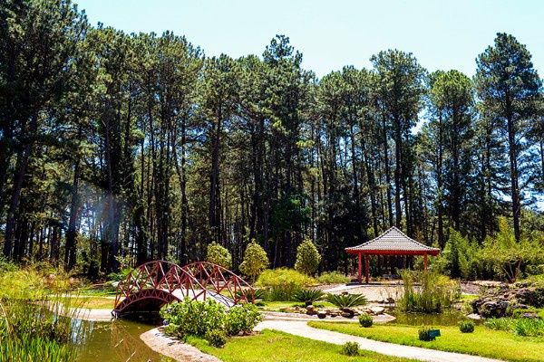 Jardim Botânico
