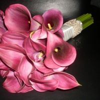 O significado das cores dos buques!! - 1