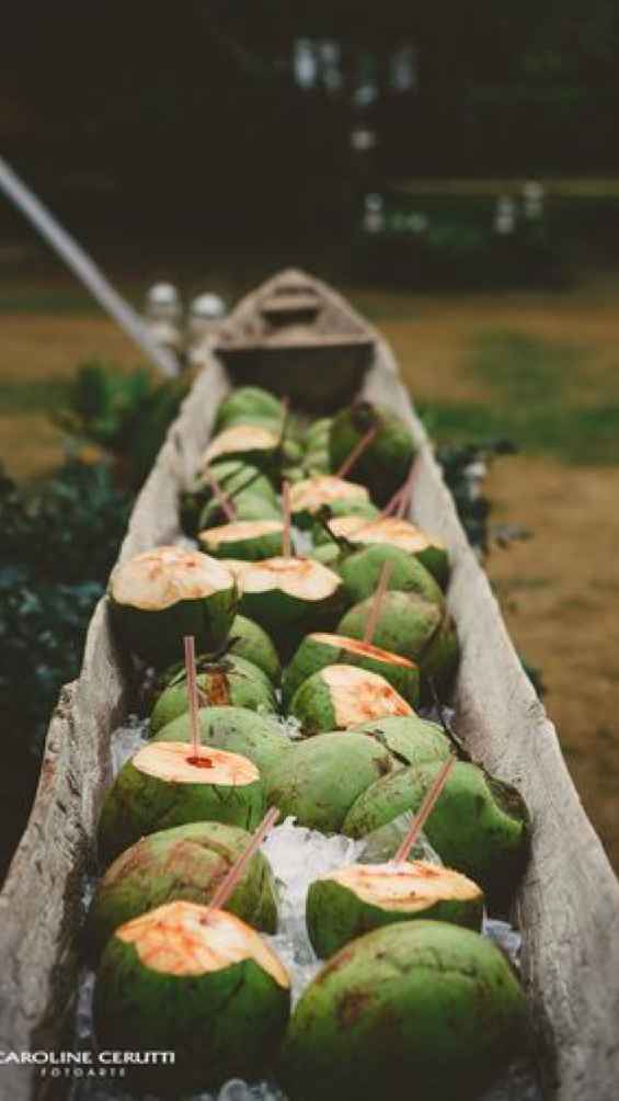Barca de coco