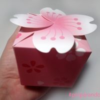 A caixinha para a lembrancinha dos convidados