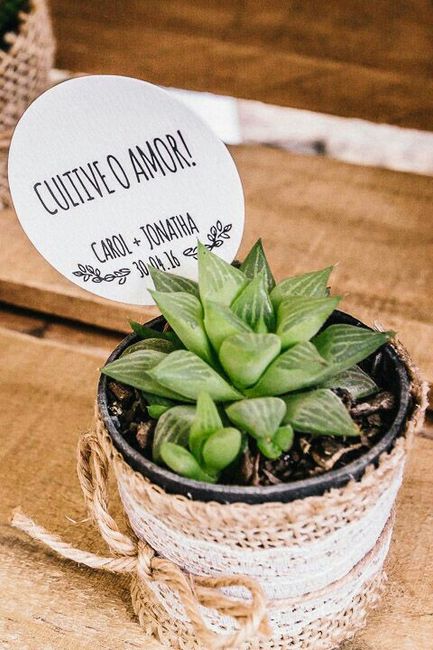Suculentas de lembrancinha diy - 1