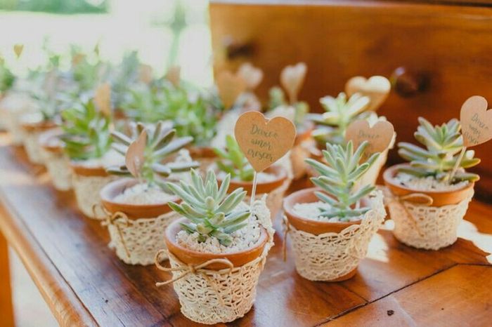 Suculentas de lembrancinha diy - 3