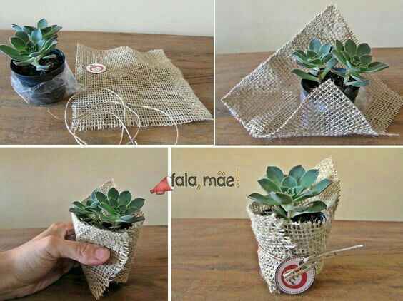 Suculentas de lembrancinha diy - 2