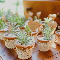 Suculentas de lembrancinha diy - 3