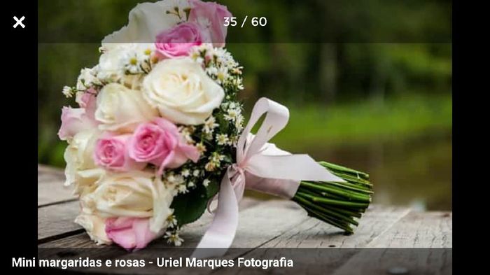  Minhas cores - 3