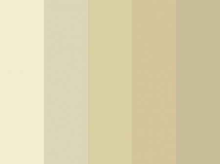 Peleta de cores