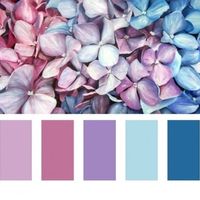 Cores do meu casamento