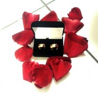 Meu noivado *-* - 3