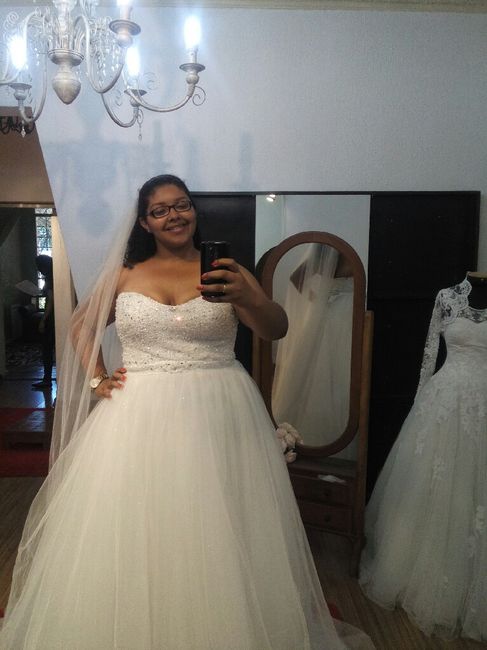 #vemver meu eleito! meu vestido - 4