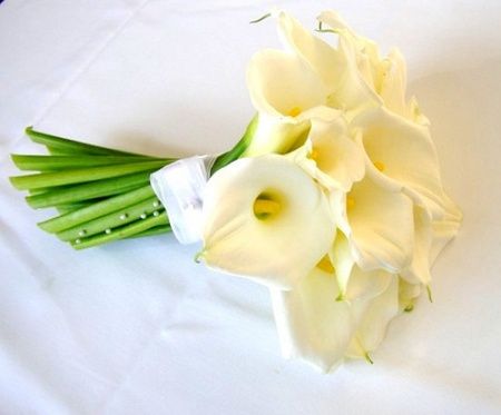 Bouquet copo de leite ♥ 