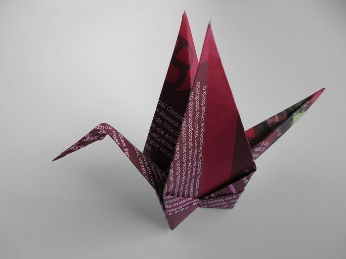 Tsuru (1.000)