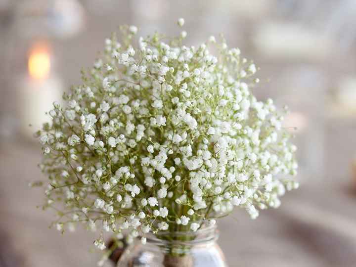 Gipsófilas Mais conhecidas como os famosos “mosquitinhos”, essas pequeninas flores brancas são as ma
