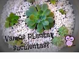 segue as dicas