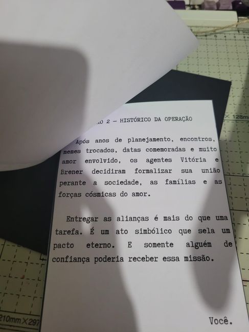 Convite do segurança das alianças 5