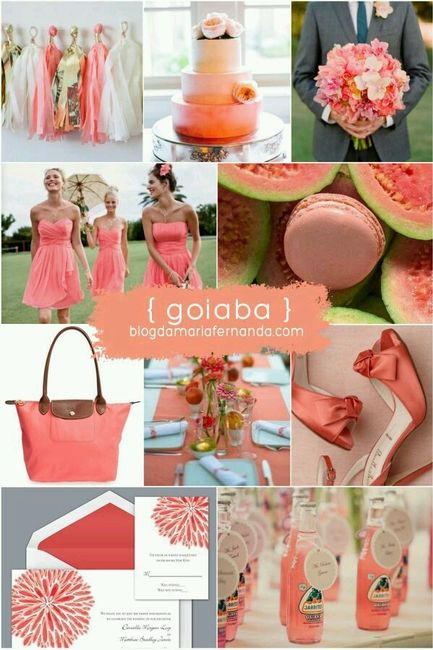 Paleta de cores - inspirações - 7