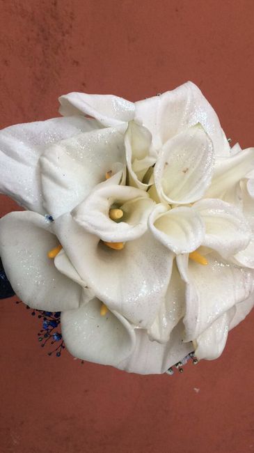 Casamento homoafetivo - 1