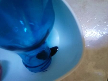 diy garrafinhas