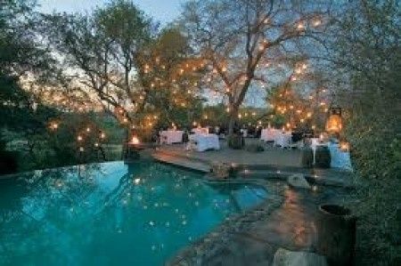 Um sonho...