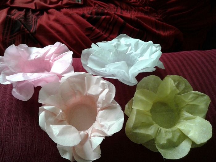 Minhas forminhas para doces chegaram vem ver!!! - 1
