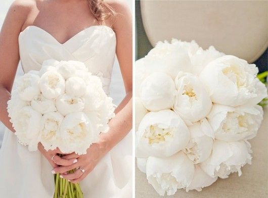 peonias