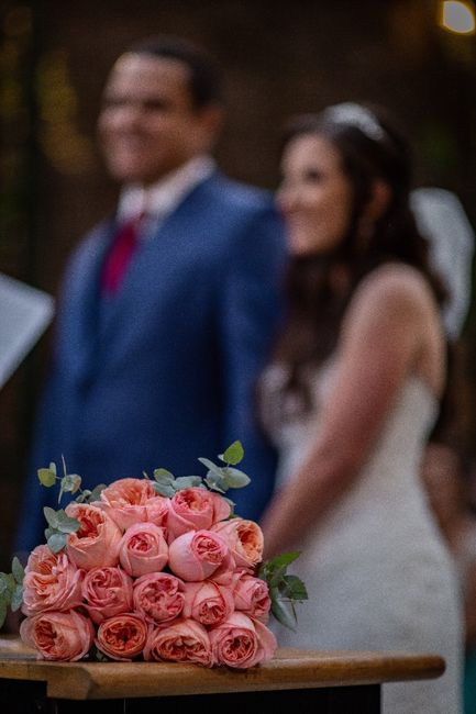 rosas de jardim