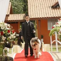 esse é o vinte no meu casamento