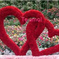 Maior sentimento.... AMOR!!!